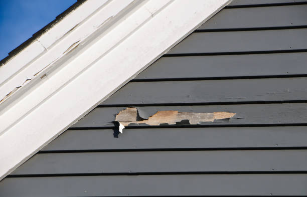 Best Demolition Debris Removal  in Lawai, HI